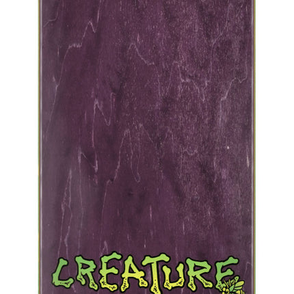 Creature Provost Skull Spider 8.47